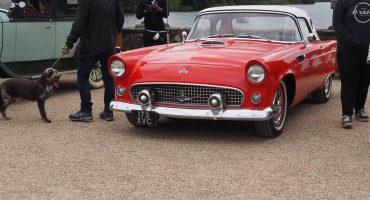 P6140003 copy